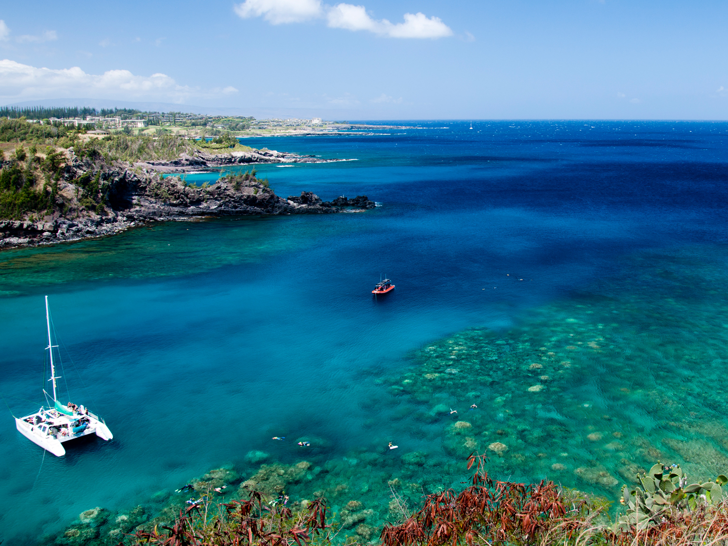 Explore Maui